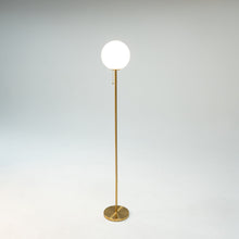 Carregar imagem no visualizador da galeria, Polaris Floor Lamp
