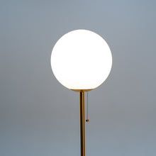 Carregar imagem no visualizador da galeria, Polaris Floor Lamp
