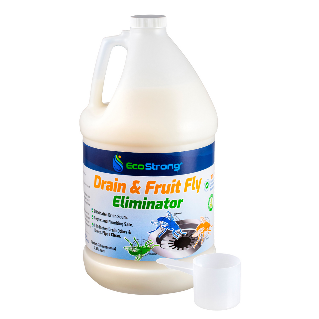 Drain and Fruit Fly Eliminator