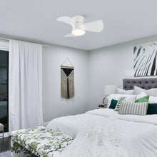 Cargar imagen en el visor de la galería, 31&quot; Mazon Modern DC Motor Flush Mount Reversible Ceiling Fan with LED Lighting and Remote Control
