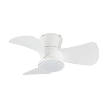 Carregar imagem no visualizador da galeria, 31&quot; Mazon Modern DC Motor Flush Mount Reversible Ceiling Fan with LED Lighting and Remote Control
