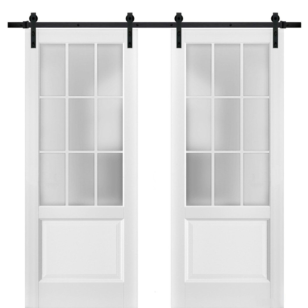 Felicia 3309 Matte White Double Barn Door with 9 Lites Frosted Glass | Black Rail