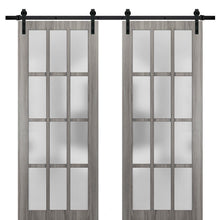 Carregar imagem no visualizador da galeria, Felicia 3312 Ginger Ash Gray Double Barn Door with 12 Lites Frosted Glass | Black Rail
