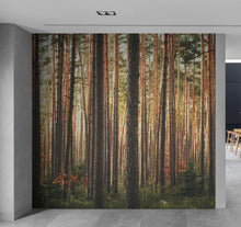 Load image into Gallery viewer, Forest Wallpaper Mural. Woodland Country Theme / Farmhouse Wall Decor. #6777
