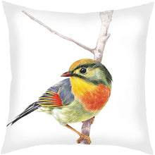 Load image into Gallery viewer, Feathered Friends Cushion Covers
