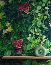 Cargar imagen en el visor de la galería, Greenery Jungle Bush Wallpaper Mural. Tropical Leaves / Fern Wallpaper. #6765
