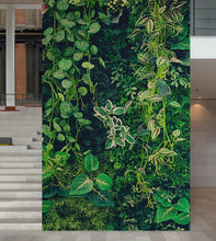 Cargar imagen en el visor de la galería, Greenery Jungle Bush Wallpaper Mural. Tropical Leaves / Fern Wallpaper. #6765
