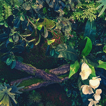 Load image into Gallery viewer, Jungle Wallpaper, Forest Greenery Botanical Wall Mural. #6741
