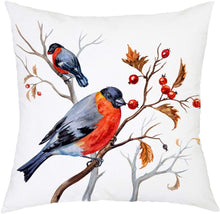 Carregar imagem no visualizador da galeria, Feathered Friends Cushion Covers
