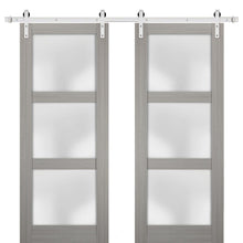 Carregar imagem no visualizador da galeria, Lucia 2552 Grey Ash Double Barn Door with Frosted Glass | Silver Finish Rail
