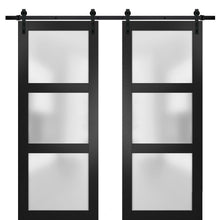 Carregar imagem no visualizador da galeria, Lucia 2552 Matte Black Double Barn Door with Frosted Glass | Black Rail
