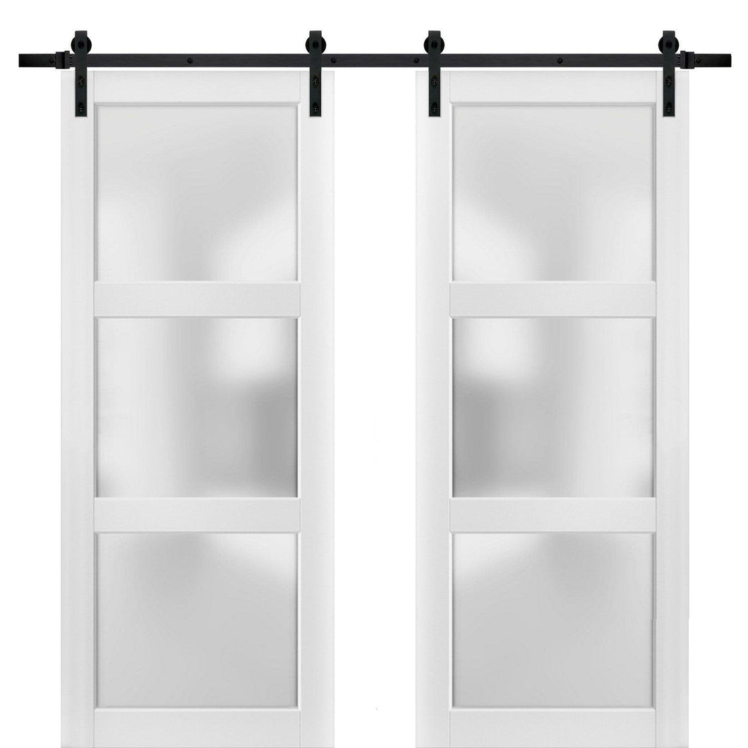 Lucia 2552 Matte White Double Barn Door with Frosted Glass | Black Rail