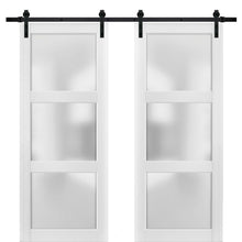 Carregar imagem no visualizador da galeria, Lucia 2552 Matte White Double Barn Door with Frosted Glass | Black Rail
