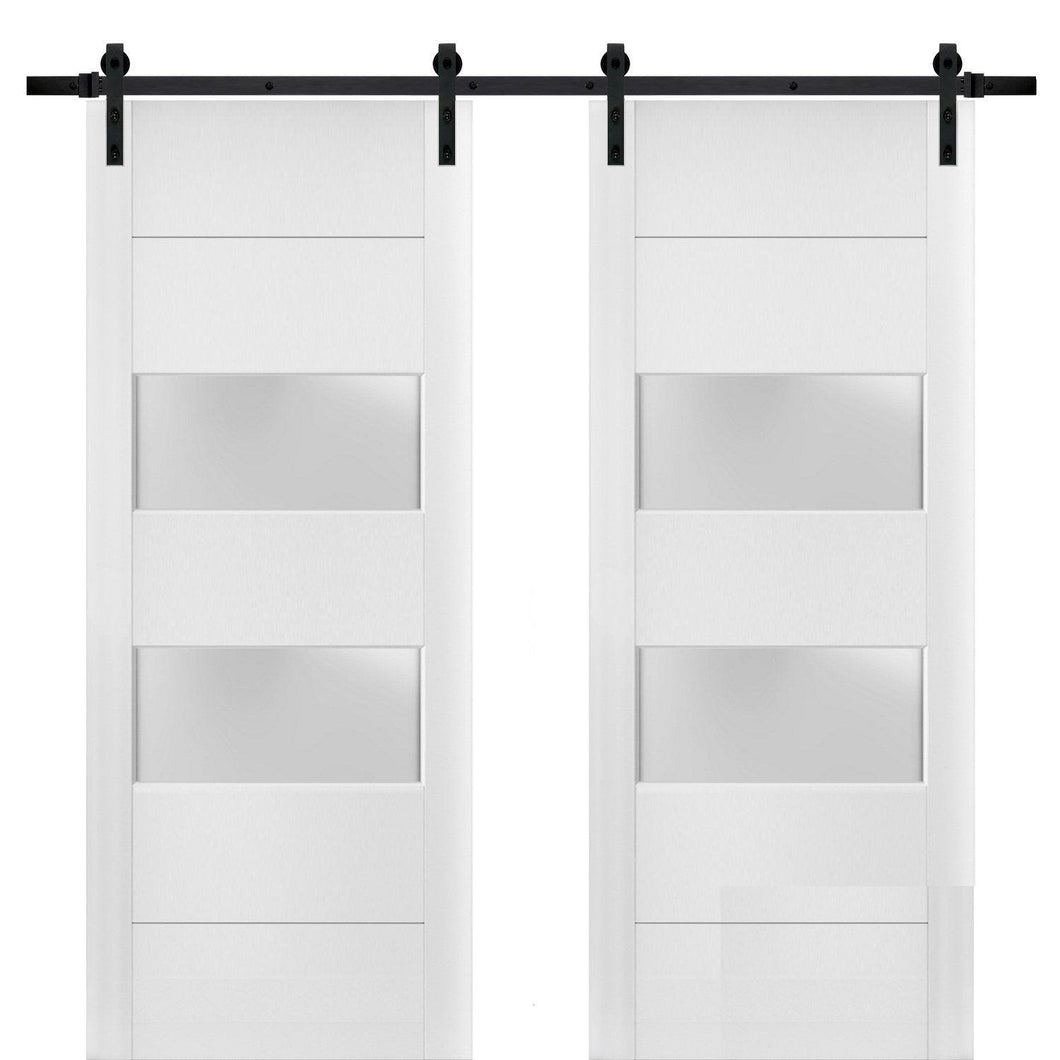 Lucia 4010 Matte White Double Barn Door with 2 Lites Frosted Glass | Black Rail