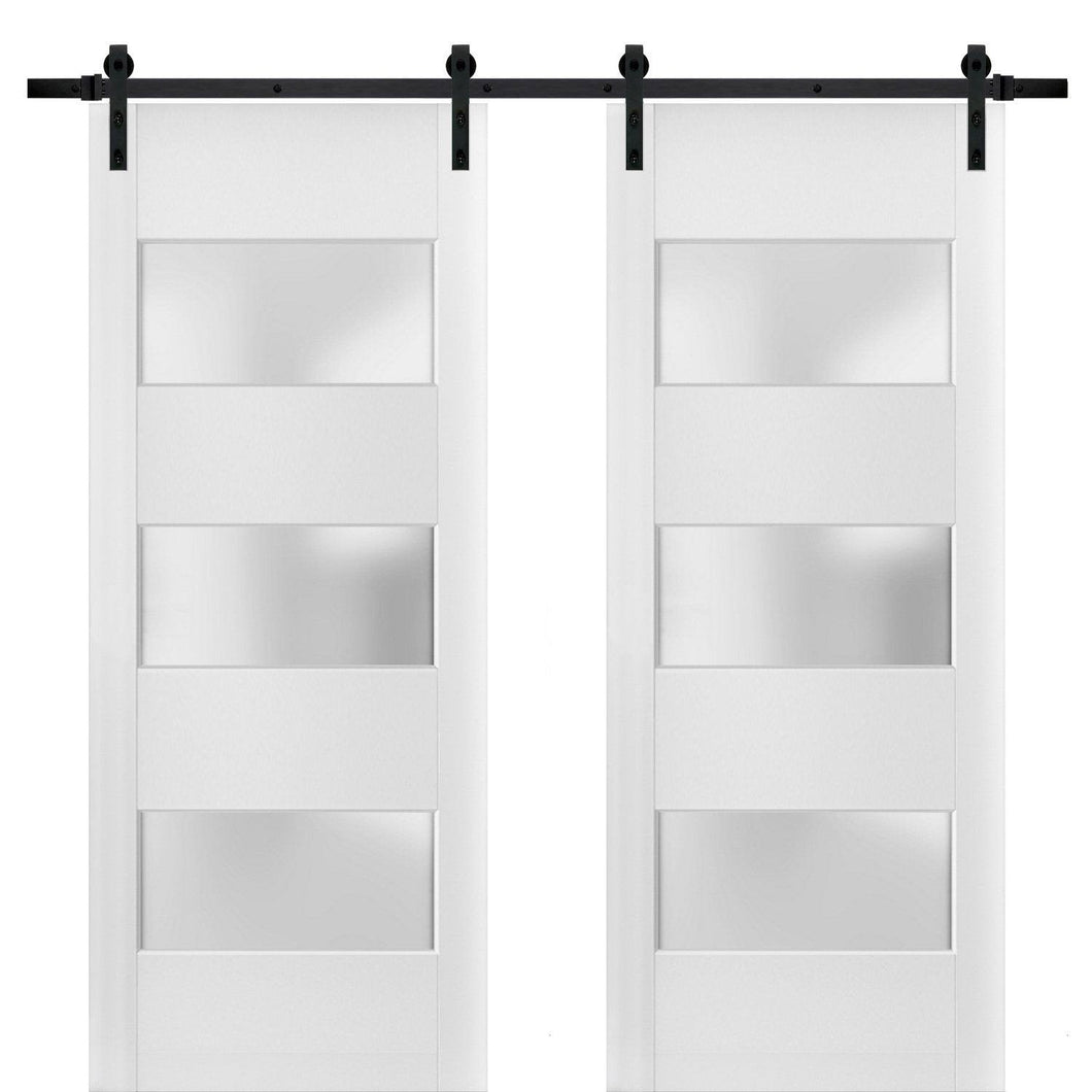 Lucia 4070 Matte White Double Barn Door with 3 Lites Frosted Glass | Black Rail