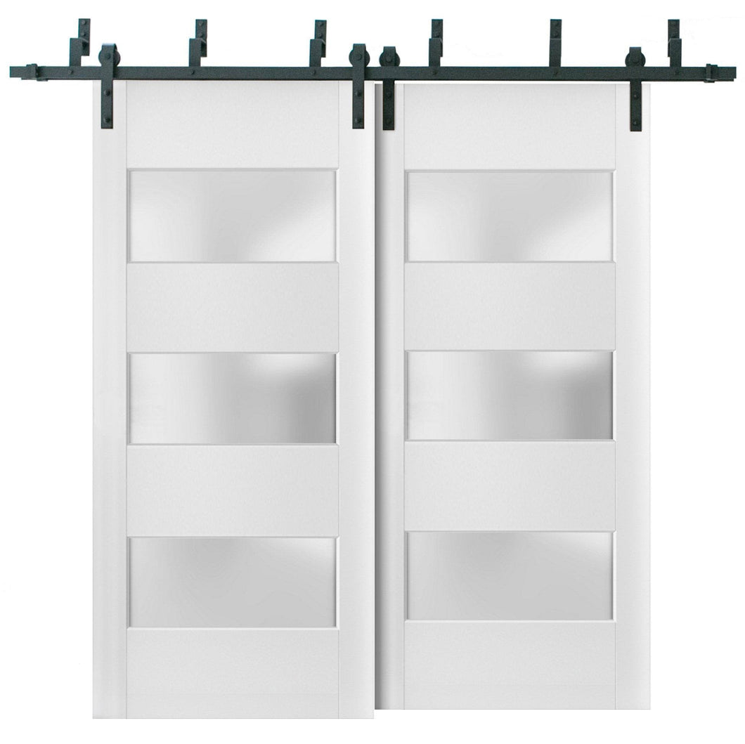 Lucia 4070 Matte White Double Barn Door with 3 Lites Frosted Glass | Black Bypass Rails