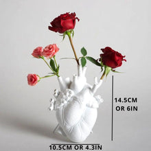 Load image into Gallery viewer, Anatomical Heart Vase
