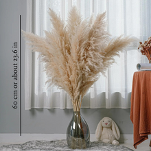 Cargar imagen en el visor de la galería, Pampas Grass Bouquet (Set of 5)
