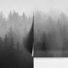 Cargar imagen en el visor de la galería, Black and White Misty Pine Forest Wallpaper. #6673
