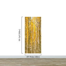 Cargar imagen en el visor de la galería, Autumn Scenic Birch Tree Forest Wall Mural | Peel and Stick Wallpaper. #6202
