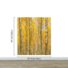 Carregar imagem no visualizador da galeria, Autumn Scenic Birch Tree Forest Wall Mural | Peel and Stick Wallpaper. #6202
