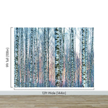 Cargar imagen en el visor de la galería, White Birch Tree Forest Wall Mural Wallpaper. Sunset Scenery. #6246
