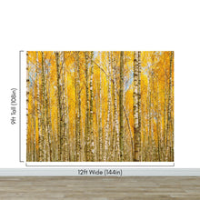 Load image into Gallery viewer, Autumn Scenic Birch Tree Forest Wall Mural | Peel and Stick Wallpaper. #6202
