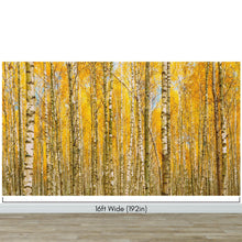 Cargar imagen en el visor de la galería, Autumn Scenic Birch Tree Forest Wall Mural | Peel and Stick Wallpaper. #6202
