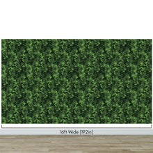 Cargar imagen en el visor de la galería, Green Leaves Pattern Wallpaper Mural. Botanical Wall Mural. #6744
