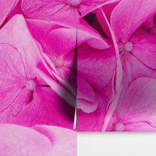 Load image into Gallery viewer, Pink Flowers Floral Wallpaper Mural. #6776
