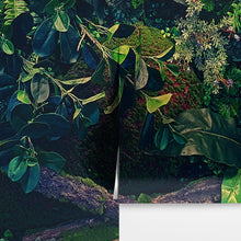 Cargar imagen en el visor de la galería, Jungle Wallpaper, Forest Greenery Botanical Wall Mural. #6741
