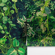 Carregar imagem no visualizador da galeria, Greenery Jungle Bush Wallpaper Mural. Tropical Leaves / Fern Wallpaper. #6765
