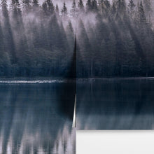 Load image into Gallery viewer, Pine Trees Forest Lake View Wall Mural Wallpaper. #6754
