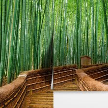 Carregar imagem no visualizador da galeria, Japanese Bamboo Forest Arashiyama Woods Wall Mural #6043
