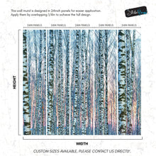 Carregar imagem no visualizador da galeria, White Birch Tree Forest Wall Mural Wallpaper. Sunset Scenery. #6246
