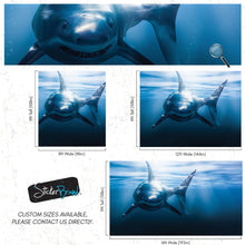 Carregar imagem no visualizador da galeria, Great White Shark Wall Mural. Peel and Stick Wallpaper. #6700
