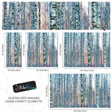 Cargar imagen en el visor de la galería, White Birch Tree Forest Wall Mural Wallpaper. Sunset Scenery. #6246
