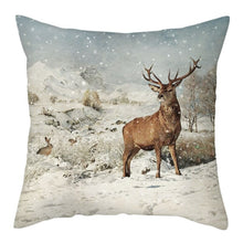 Load image into Gallery viewer, Snowy Cushion Covers
