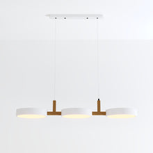 Carregar imagem no visualizador da galeria, Rangeen Pendant Light
