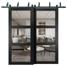 Cargar imagen en el visor de la galería, Lucia 2555 Matte Black Double Barn Door with Clear Glass 3 Lites | Black Bypass Rail
