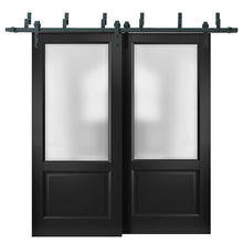 Cargar imagen en el visor de la galería, Lucia 22 Matte Black Double Barn Door with Frosted Glass | Black Bypass Rail
