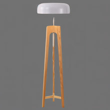 Carregar imagem no visualizador da galeria, Acer Floor Lamp
