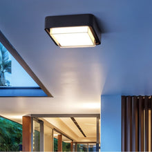 Carregar imagem no visualizador da galeria, Ahava Outdoor Surface Mount Light
