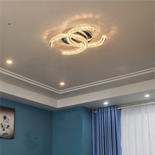 Carregar imagem no visualizador da galeria, Amaryllis Ceiling Light
