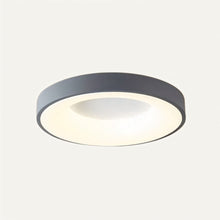 Cargar imagen en el visor de la galería, Annabelle Ceiling Light
