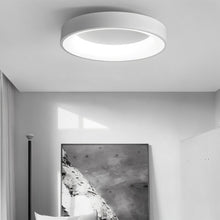 Cargar imagen en el visor de la galería, Annabelle Ceiling Light
