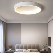 Cargar imagen en el visor de la galería, Annabelle Ceiling Light
