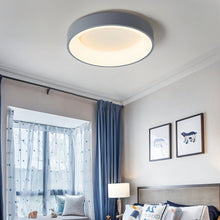 Cargar imagen en el visor de la galería, Annabelle Ceiling Light
