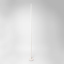 Carregar imagem no visualizador da galeria, Léger RGB Floor Lamp
