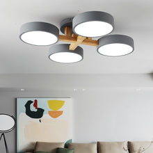 Carregar imagem no visualizador da galeria, Ashane Ceiling Light
